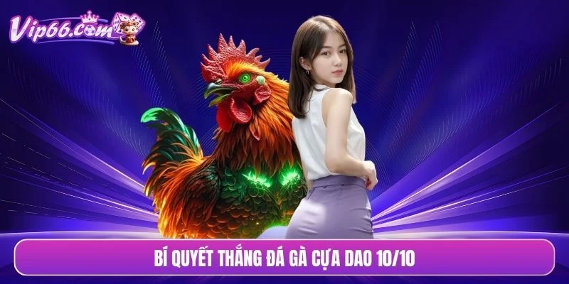 Bí quyết thắng đá gà cựa dao 10/10