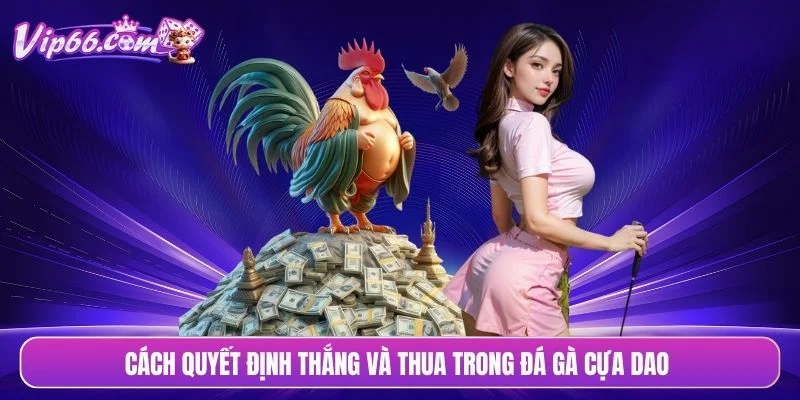 Cách quyết định thắng và thua trong đá gà cựa dao 