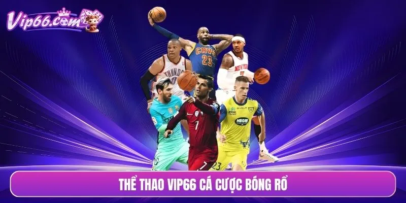 Thể thao VIP66 cá cược bóng rổ
