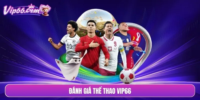 Đánh giá thể thao VIP66