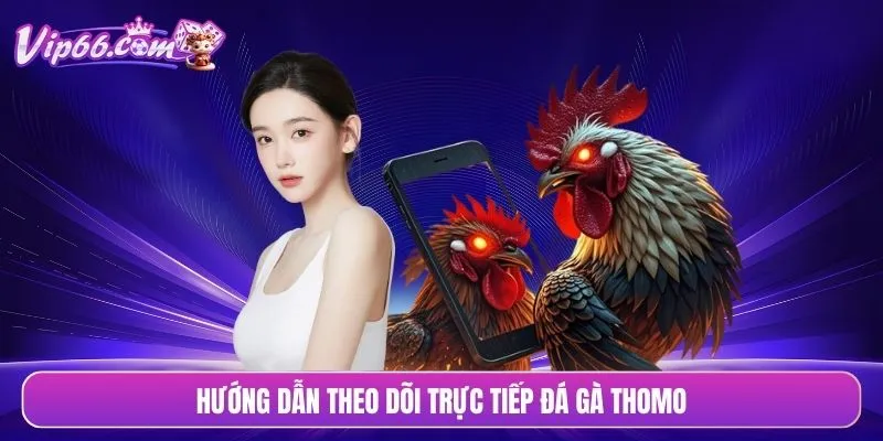 Hướng dẫn theo dõi trực tiếp đá gà Thomo