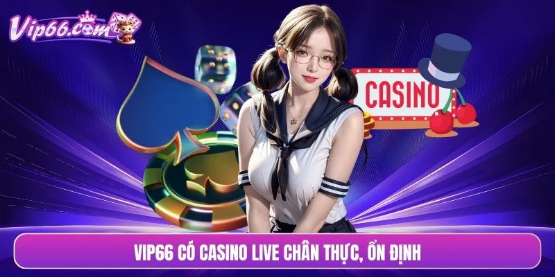 VIP66 có casino live chân thực, ổn định